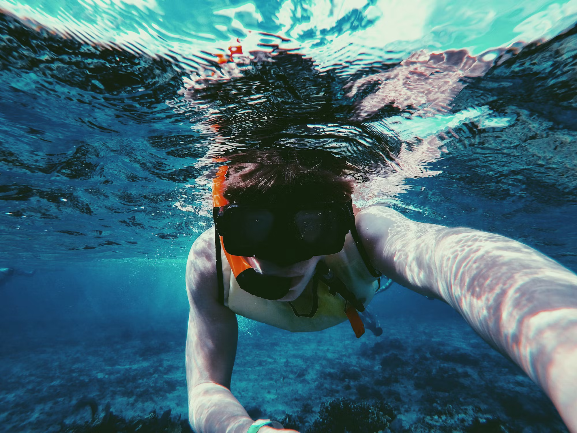 Diving Adventures: Discovering the Depths of the Ocean