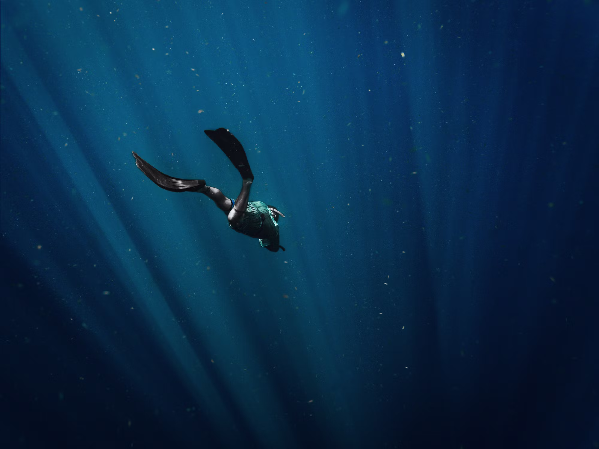 Diving into Adventure: Exploring the Various Styles of Underwater Exploration